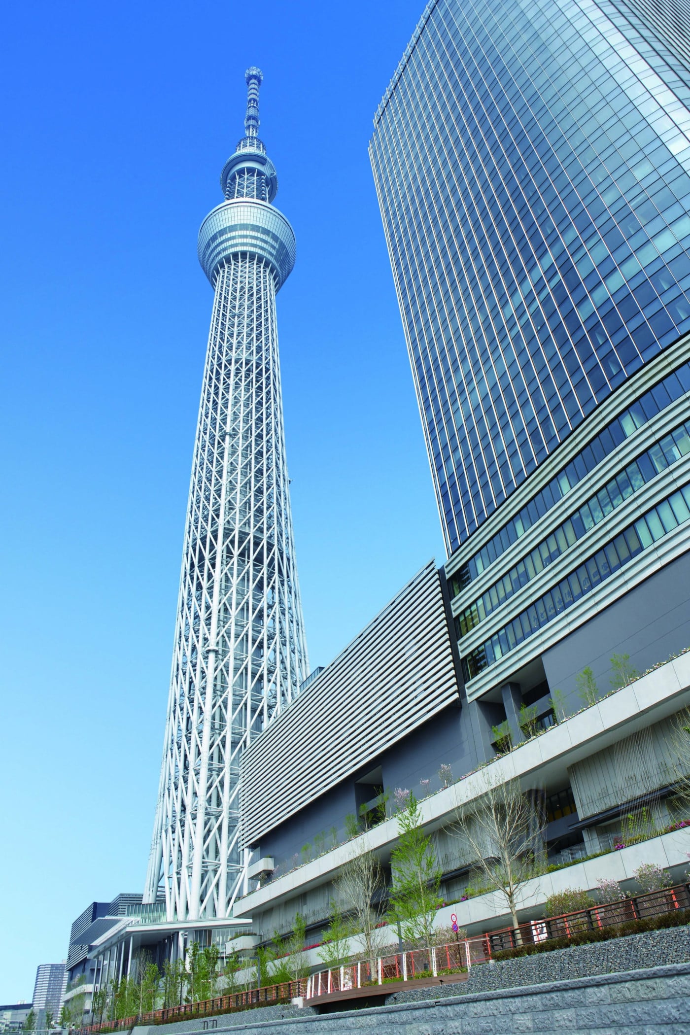 壁面緑化 東京スカイツリー