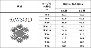 6×WS（31）